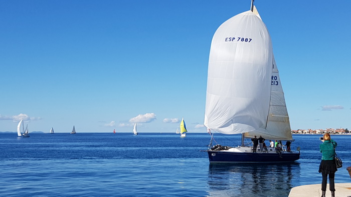 Zadarska Koka 2016. 22. listopada 2016. Foto: Mladen Malik Zadarska Koka 2016. 22. listopada 2016. Foto: Mladen Malik