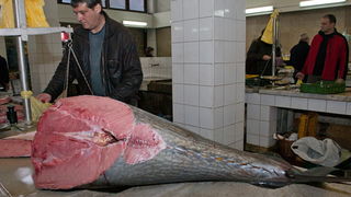 S pjace i peskarije, 24. prosinca 2010., Foto: Leo Banic