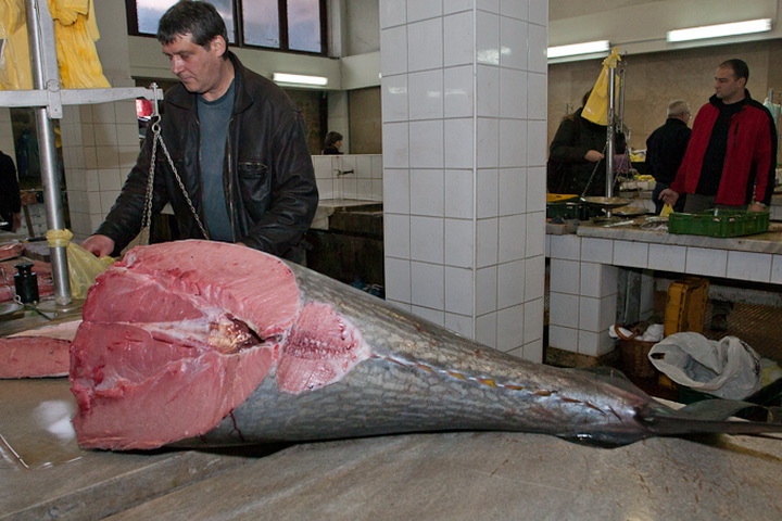 S pjace i peskarije, 24. prosinca 2010., Foto: Leo Banic