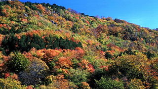 Paklenica: Boje jeseni, Foto: Mladen Radolovic Mrlja