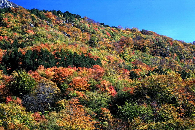 Paklenica: Boje jeseni, Foto: Mladen Radolovic Mrlja