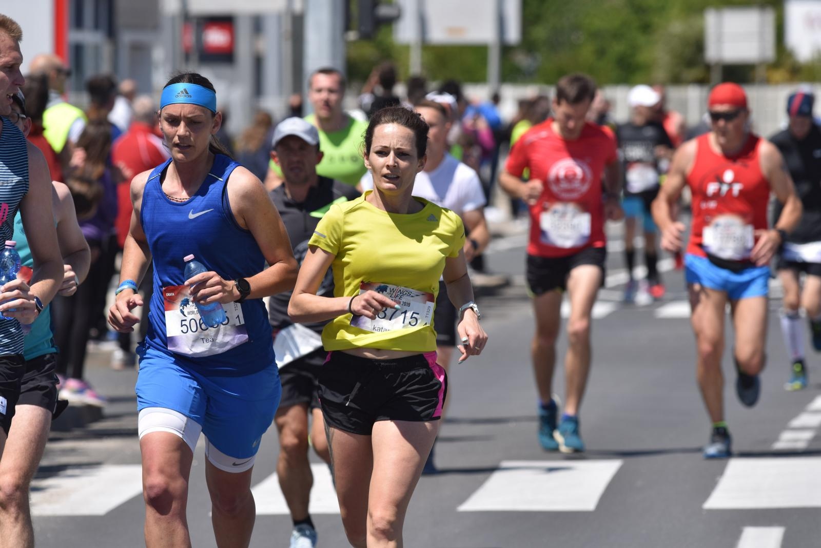 Start utrke Wings For Life 2019.