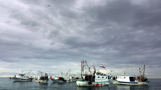 Umag, Savudrija, 071109.
Ribarski konvoj organiziran zbog protivljenja arbitraznom sporazumu sa Slovenijom smatrajuci da bi njegovom primjenom Hrvatska mogla ostati bez dijela svog teritorijalnog mora juznije od crte sredine Savudrijske vale. Prosvjedoval Umag, Savudrija, 071109.
Ribarski konvoj organiziran zbog protivljenja arbitraznom sporazumu sa Slovenijom smatrajuci da bi njegovom primjenom Hrvatska mogla ostati bez dijela svog teritorijalnog mora juznije od crte sredine Savudrijske vale. Prosvjedoval