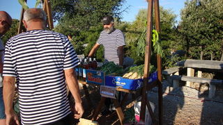 Manifestacija “Luka i igara” na vidikovcu Kamenjak. Foto: Gordana Šarić