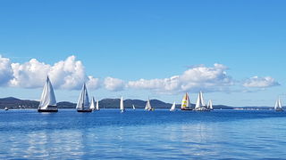 Zadarska Koka 2016. 22. listopada 2016. Foto: Mladen Malik Zadarska Koka 2016. 22. listopada 2016. Foto: Mladen Malik