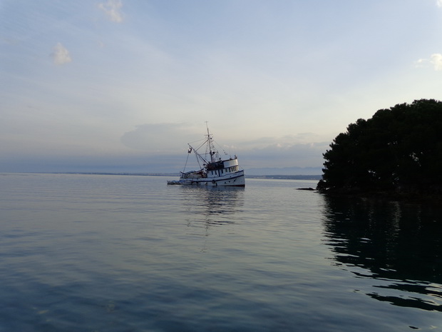 Mišnjak: Nasukana ribarica “Glamoč”