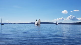 Zadarska Koka 2016. 22. listopada 2016. Foto: Mladen Malik Zadarska Koka 2016. 22. listopada 2016. Foto: Mladen Malik