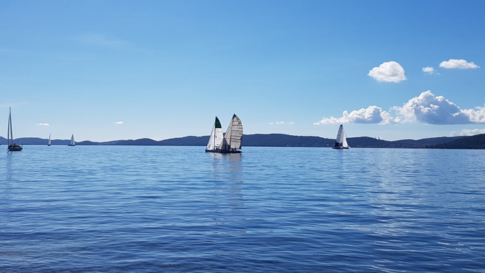 Zadarska Koka 2016. 22. listopada 2016. Foto: Mladen Malik Zadarska Koka 2016. 22. listopada 2016. Foto: Mladen Malik