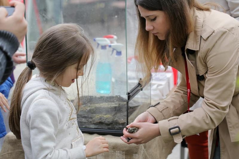 U Zooloskom vrtu u Zagrebu obiljezen Zablji dan u sklopu kojeg su se odrzavale razne radionice, a zainteresirani posjetitelji mogli su i dirati zabe. Photo: Tomislav Miletic/PIXSELL