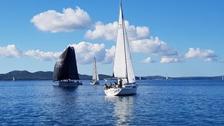 Zadarska Koka 2016. 22. listopada 2016. Foto: Mladen Malik Zadarska Koka 2016. 22. listopada 2016. Foto: Mladen Malik