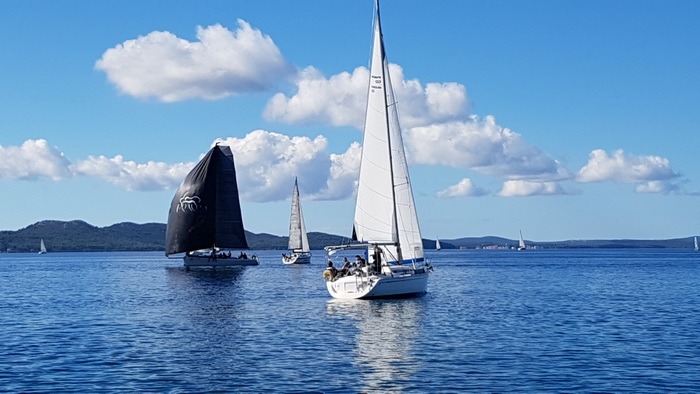 Zadarska Koka 2016. 22. listopada 2016. Foto: Mladen Malik Zadarska Koka 2016. 22. listopada 2016. Foto: Mladen Malik