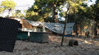 Nevera učinila veliku štetu i zadarskom azilu Nevera učinila veliku štetu i zadarskom azilu