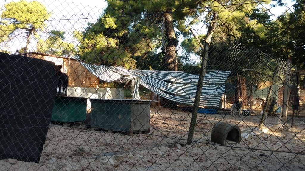 Nevera učinila veliku štetu i zadarskom azilu Nevera učinila veliku štetu i zadarskom azilu