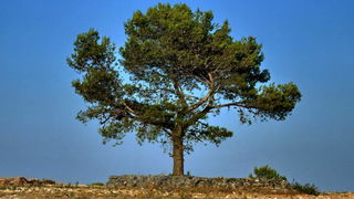 Križ, zalazak Puntamika, foto: Leonard Kvarantan Križ, zalazak Puntamika, foto: Leonard Kvarantan