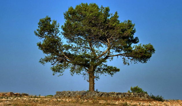 Križ, zalazak Puntamika, foto: Leonard Kvarantan