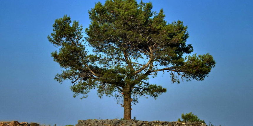 Križ, zalazak Puntamika, foto: Leonard Kvarantan