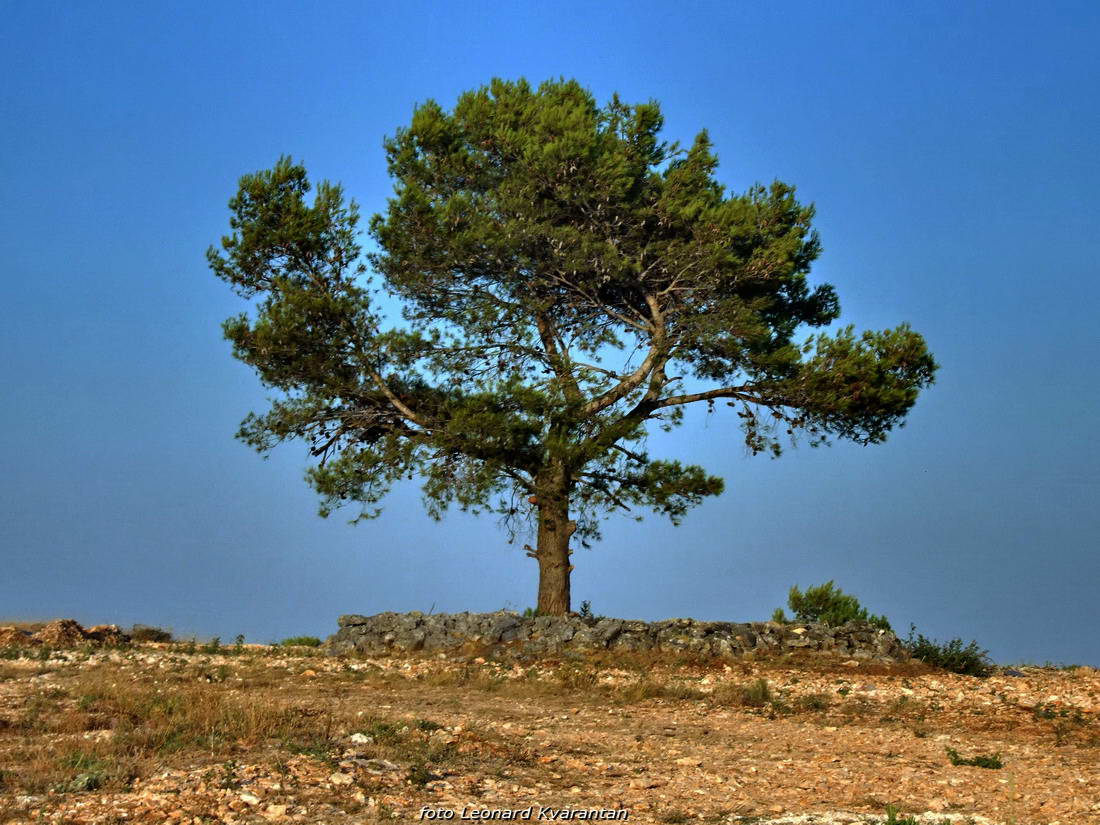 Križ, zalazak Puntamika, foto: Leonard Kvarantan Križ, zalazak Puntamika, foto: Leonard Kvarantan