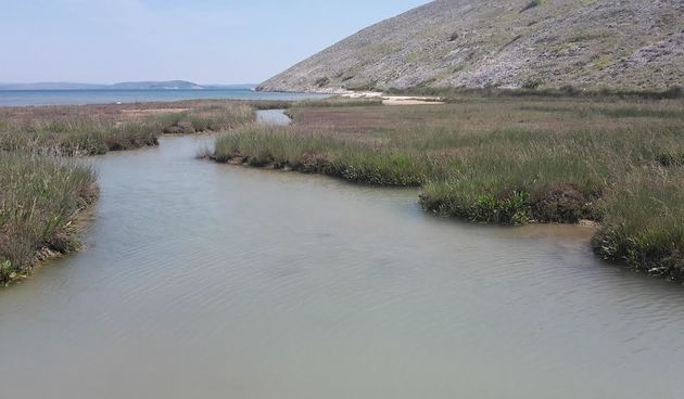 Kvasila, Vlašići otok Pag