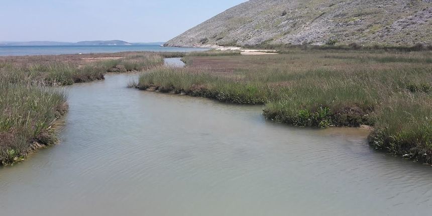 Kvasila, Vlašići otok Pag Kvasila, Vlašići otok Pag