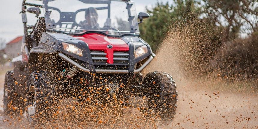 Buggy, foto: facebook Buggy, foto: facebook