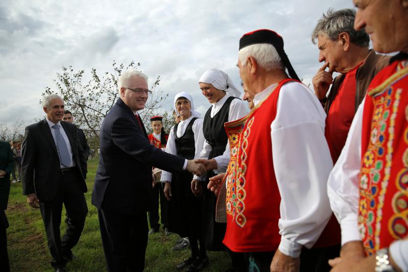 09.11.2013., Tinj – Predsjednik RH Ivo Josipovic posjetio je poljoprivrednike u Tinju te poljoprivrednu zadrugu Maraska Tinj koja je vazan dobavljac visnje maraske za zadarsku tvrtku Maraska d.d. Photo: Filip Brala/PIXSELL