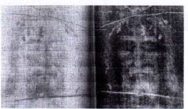 Torinsko platno (Foto: biol.pmf.hr)