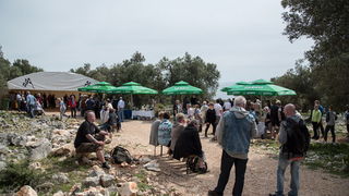 U Vrtovima lunjskih maslina održana 12. Lunjska maslinada. Foto: Vinko Pešić