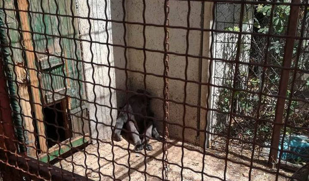 Zoovrt u Zatonu Obrovačkom