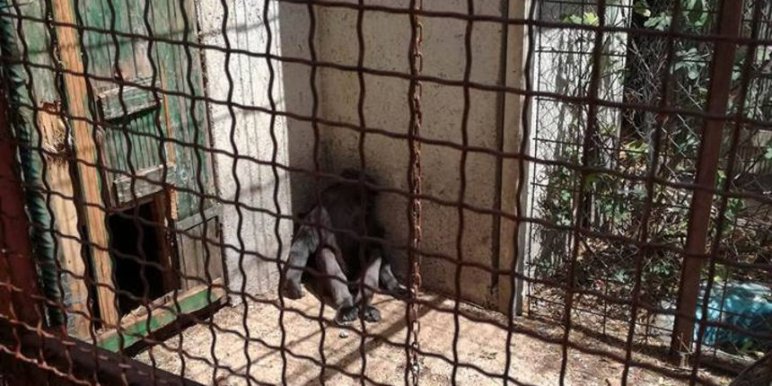 Zoovrt u Zatonu Obrovačkom