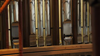 Nove orgulje u katedrali Svete Stosije u Zadru, Foto: Darko Dilber