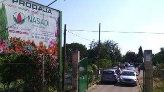 Danas, kako je tvrtka Nasadi d.o.o. i najavila, u rasadniku Cerodol na Žmirićima od 09:00 do 11:00 sati građanima su se dijelile sadnice sezonskog cvijeća. Danas, kako je tvrtka Nasadi d.o.o. i najavila, u rasadniku Cerodol na Žmirićima od 09:00 do 11:00 sati građanima su se dijelile sadnice sezonskog cvijeća.