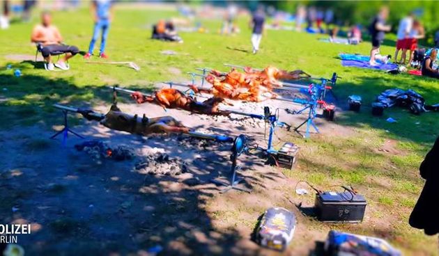 U berlinskom parku okrenuli 12 janjaca, policija šokirana