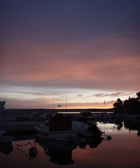 OLYMPUS DIGITAL CAMERA OLYMPUS DIGITAL CAMERA