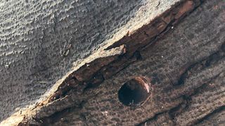 Ekocid u uvali Maestral Ekocid u uvali Maestral