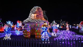 Dva milijuna lampica za božićnu čaroliju na imanju Salaj