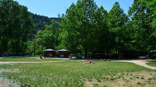 Đir do NP Krka. foto-Iva Perincic