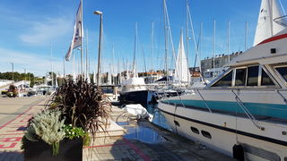 Đir po gradu 19. listopada 2016.