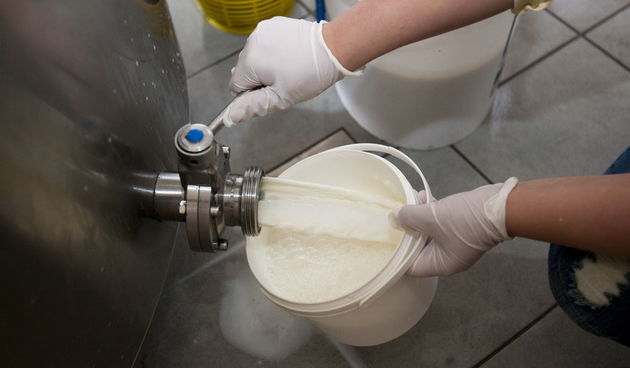 Djakovo,Djakovacka Satnica, 221012.
Proizvodjaci mlijeka u Slavoniji danas besplatno dijele mlijeko svima koji dodju do njihovih farmi u kolicinama koliko tko god zeli odnijeti.Slavonski proizvodjaci mlijeka na celu s Antunom Laslom predsjednikom Zajednic