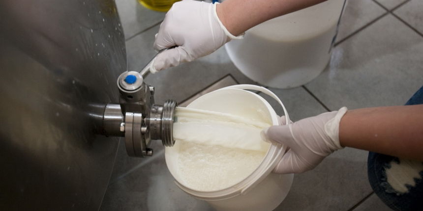 Djakovo,Djakovacka Satnica, 221012.
Proizvodjaci mlijeka u Slavoniji danas besplatno dijele mlijeko svima koji dodju do njihovih farmi u kolicinama koliko tko god zeli odnijeti.Slavonski proizvodjaci mlijeka na celu s Antunom Laslom predsjednikom Zajednic