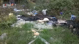 Ovako izgleda Park šuma Musapstan nakon akcije “Zelena čistka” Ovako izgleda Park šuma Musapstan nakon akcije “Zelena čistka”