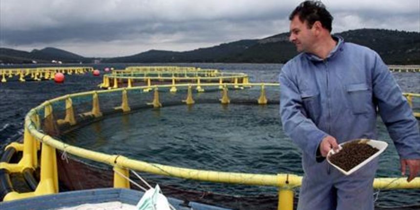 Marikultura Marikultura