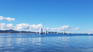 Zadarska Koka 2016. 22. listopada 2016. Foto: Mladen Malik Zadarska Koka 2016. 22. listopada 2016. Foto: Mladen Malik