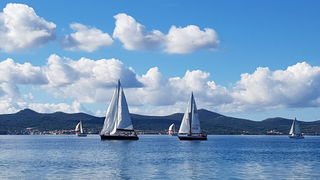 Zadarska Koka 2016. 22. listopada 2016. Foto: Mladen Malik Zadarska Koka 2016. 22. listopada 2016. Foto: Mladen Malik