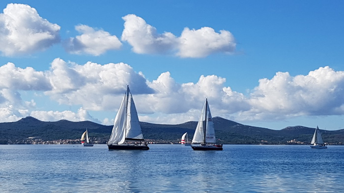 Zadarska Koka 2016. 22. listopada 2016. Foto: Mladen Malik Zadarska Koka 2016. 22. listopada 2016. Foto: Mladen Malik