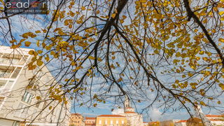 Đir po gradu, petak 24. studenog 2017. – Dan Grada Zadra. Jesen, Forum, Sv. Donat