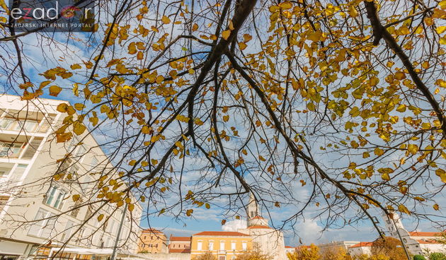 Đir po gradu, petak 24. studenog 2017. – Dan Grada Zadra. Jesen, Forum, Sv. Donat