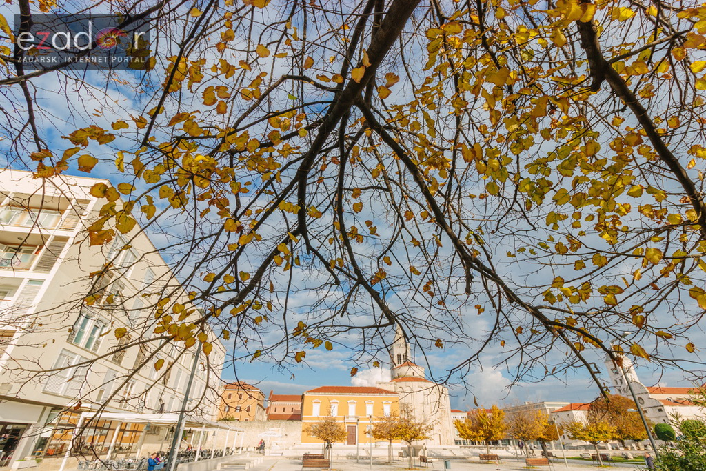 Đir po gradu, petak 24. studenog 2017. – Dan Grada Zadra. Jesen, Forum, Sv. Donat