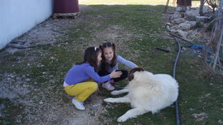 OLYMPUS DIGITAL CAMERA OLYMPUS DIGITAL CAMERA