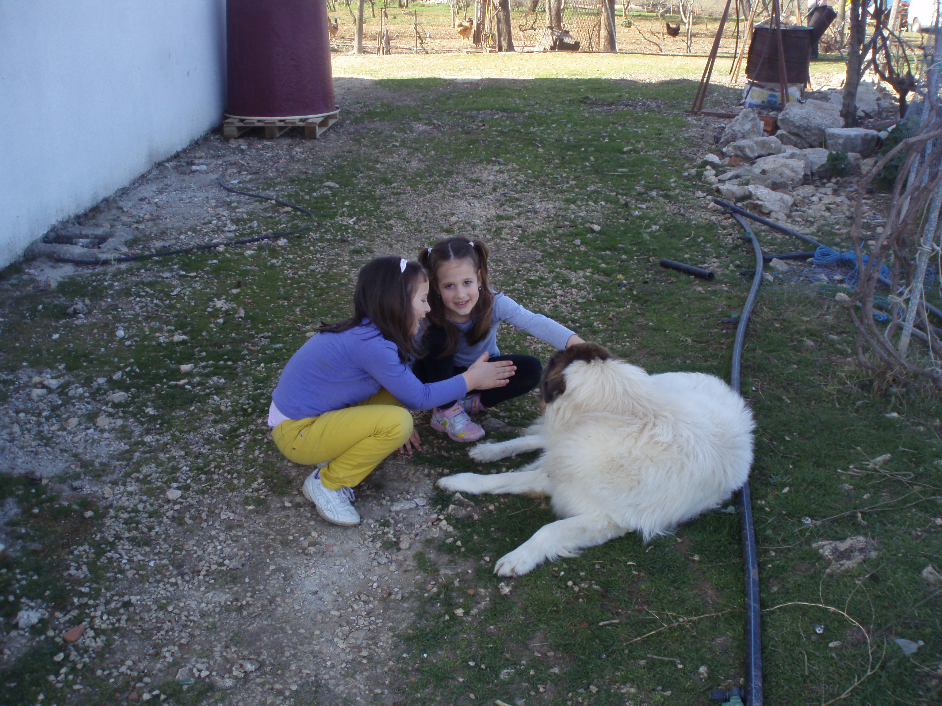 OLYMPUS DIGITAL CAMERA OLYMPUS DIGITAL CAMERA