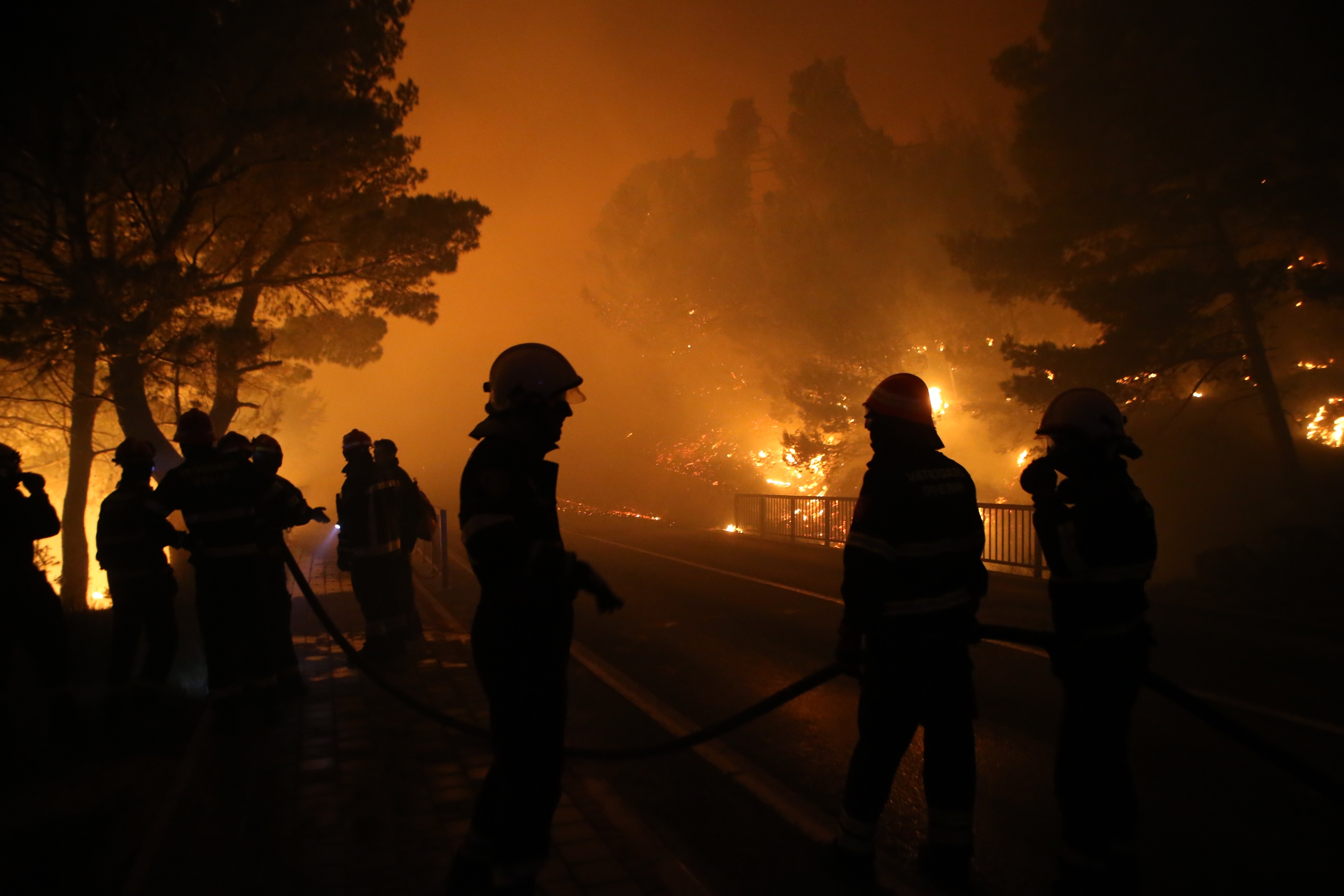 Požar u Tučepima Požar u Tučepima